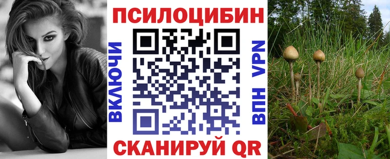 darknet Telegram  Сорск  Галлюциногенные грибы Cubensis 
