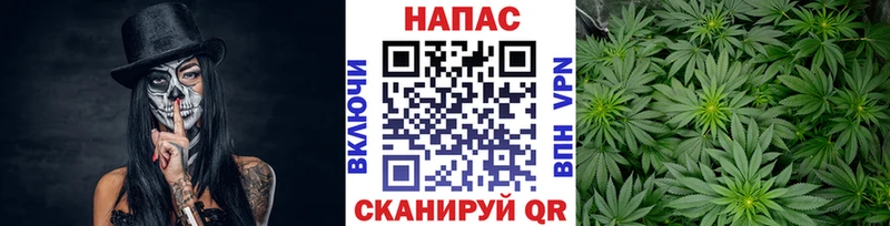 Канабис OG Kush Сорск